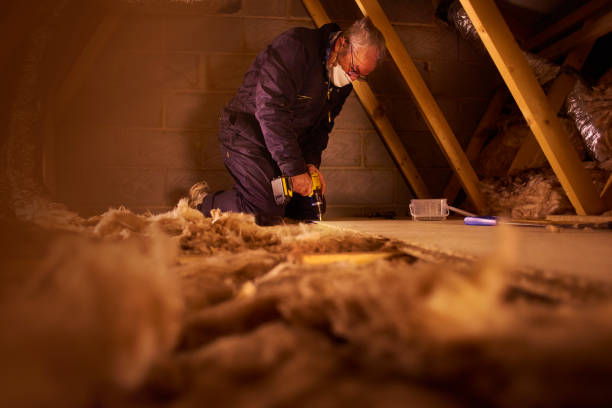 Best Insulation Installation Services in Monroeville, OH